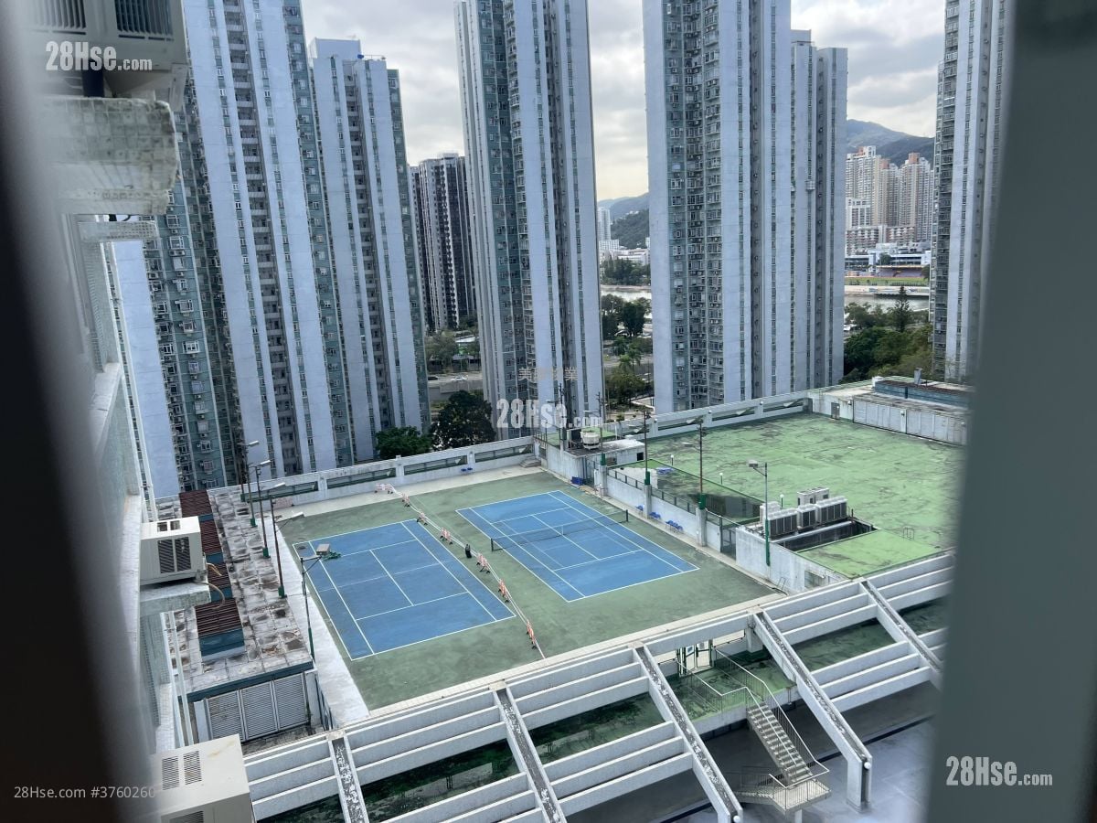 沙田第一城 售盘 3 房 484 平方尺