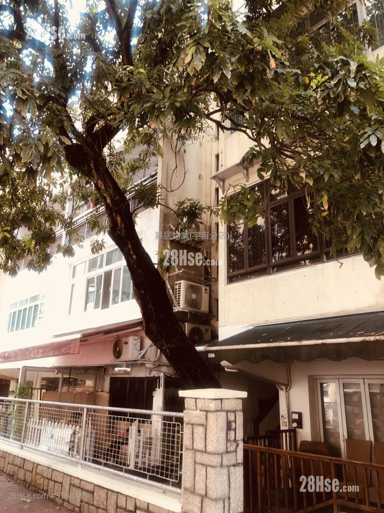 Chinese Mansion Sell 1,498 ft²