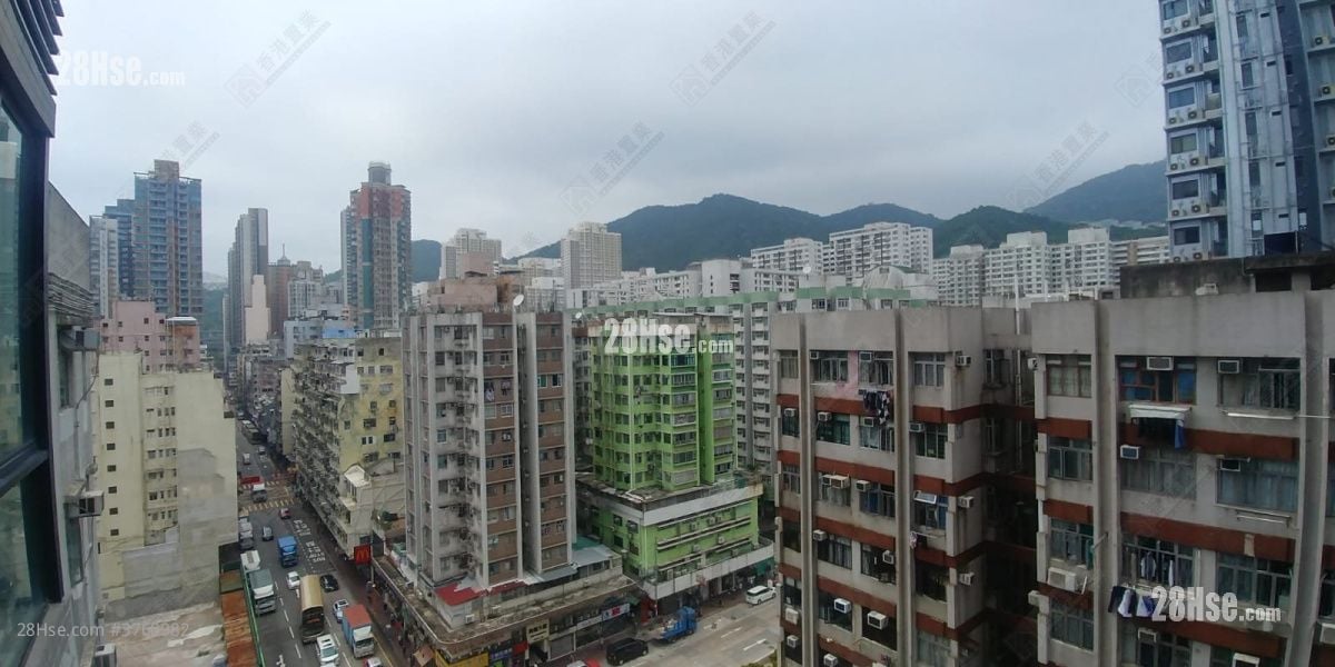 青荟 售盘 1 房 224 平方尺