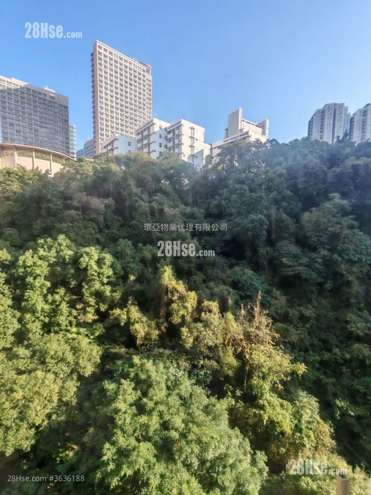 海都楼 售盘 开放式间隔 , 1 浴室 262 平方尺