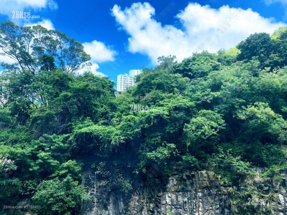 康怡花园 售盘 3 房 596 平方尺