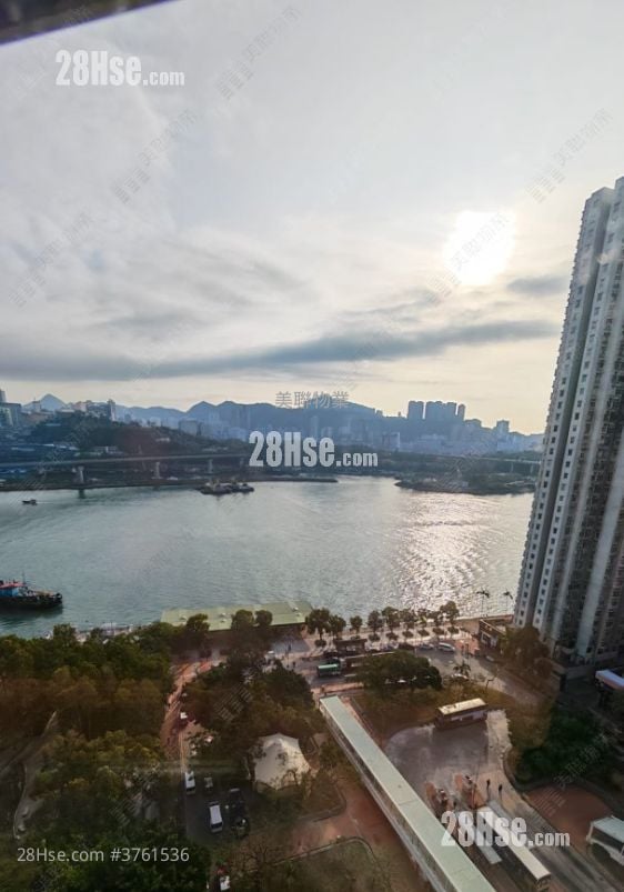 Serene Garden Sell 3 Bedrooms , 1 Bathroom 590 ft²