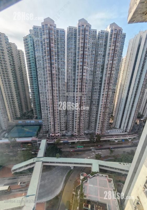 Serene Garden Sell 3 Bedrooms , 1 Bathroom 590 ft²