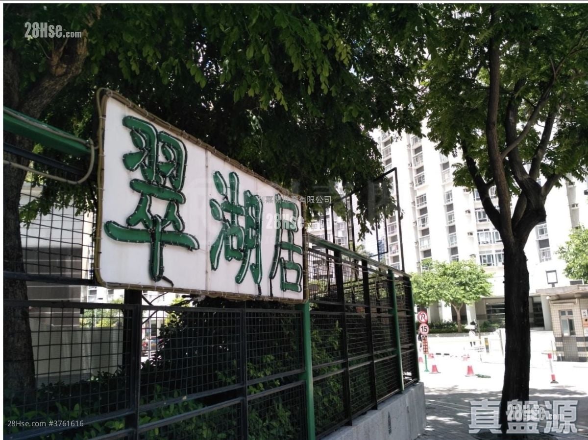 嘉湖山庄 售盘 3 房 543 平方尺