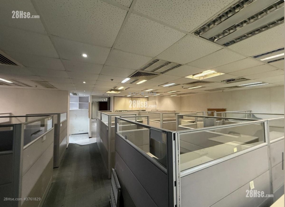 New World Tower Rental