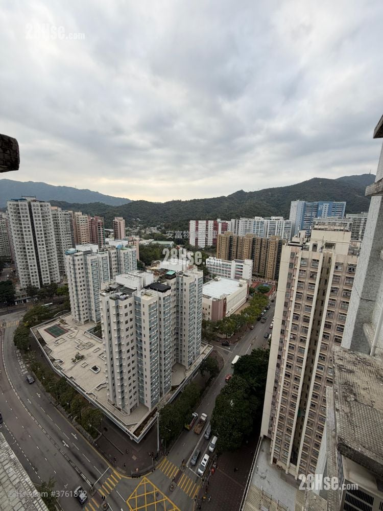 昌运中心 售盘 1 房 342 平方尺