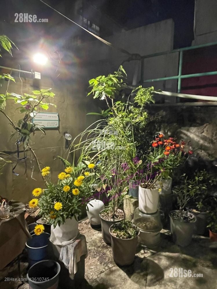 村屋 售盘 3 房 , 1 浴室