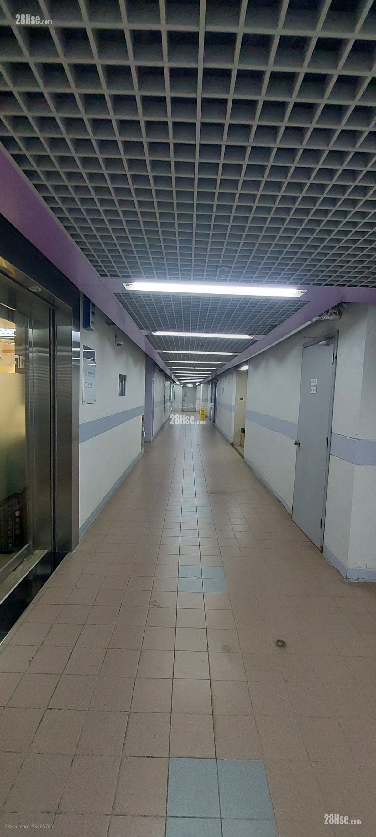 8 Commercial Tower Rental