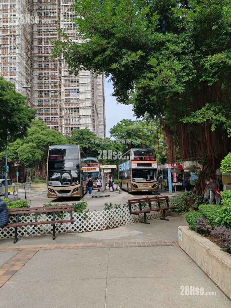 Sui Wo Court Rental 2 Bedrooms , 1 Bathroom 550 ft²