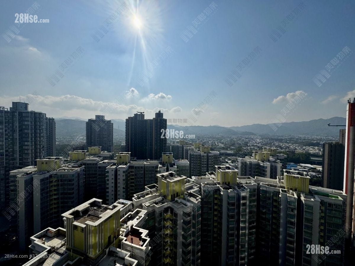 朗天峰 售盘 1 房 291 平方尺