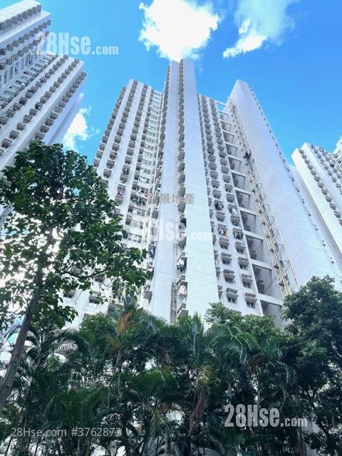 富景花园 售盘 3 房 592 平方尺