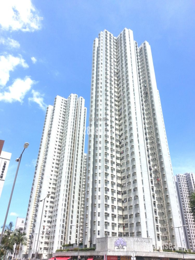 富怡花园 售盘 3 房 592 平方尺