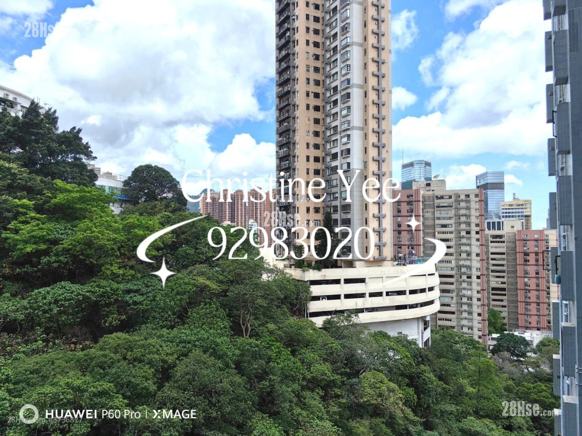 Y.i. Rental 1 Bedroom , 1 Bathroom 496 ft²