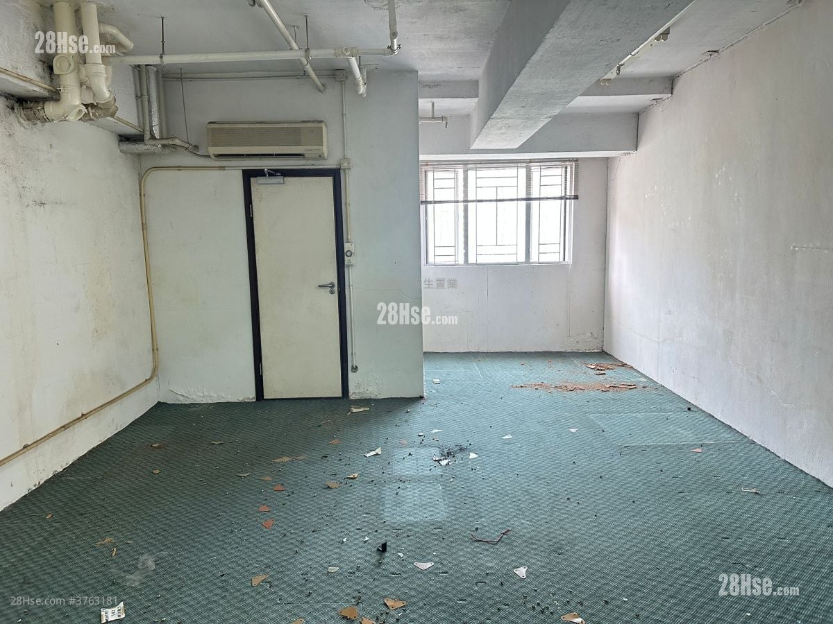 My Loft Sell 1 Toilet