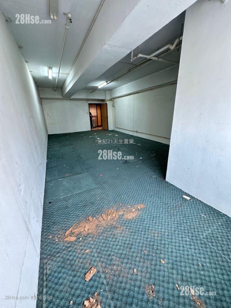 My Loft Sell 1 Toilet