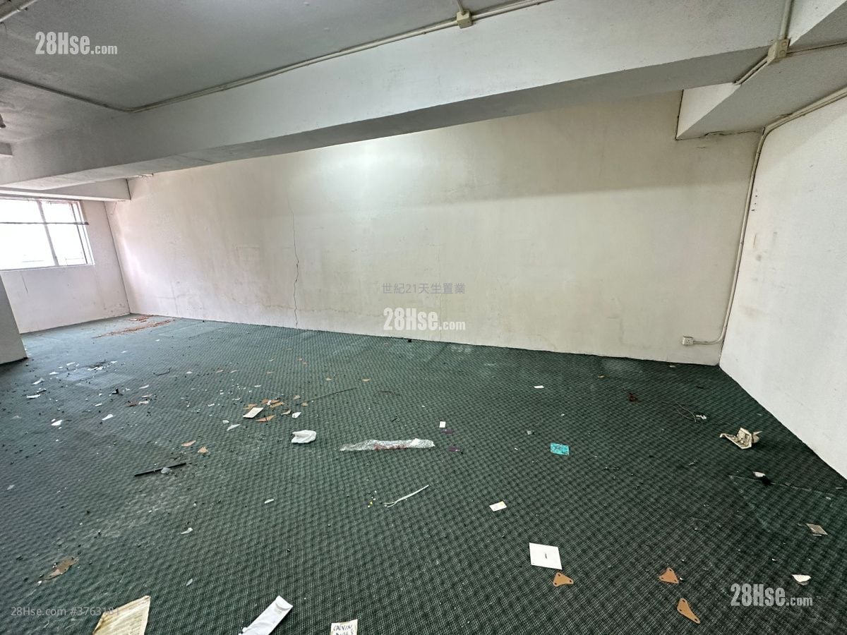 My Loft Sell 1 Toilet