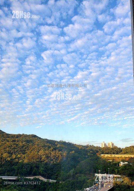 怡心园 售盘 3 房 584 平方尺