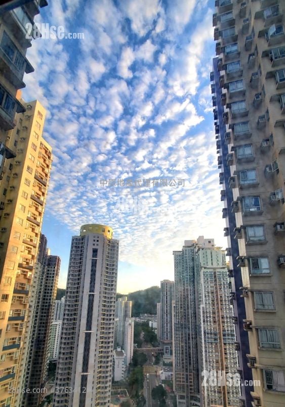 怡心园 售盘 3 房 584 平方尺