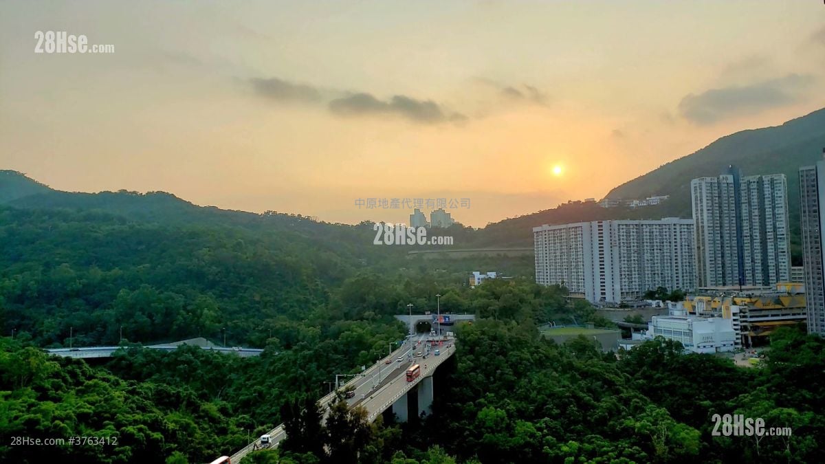 怡心园 售盘 3 房 584 平方尺