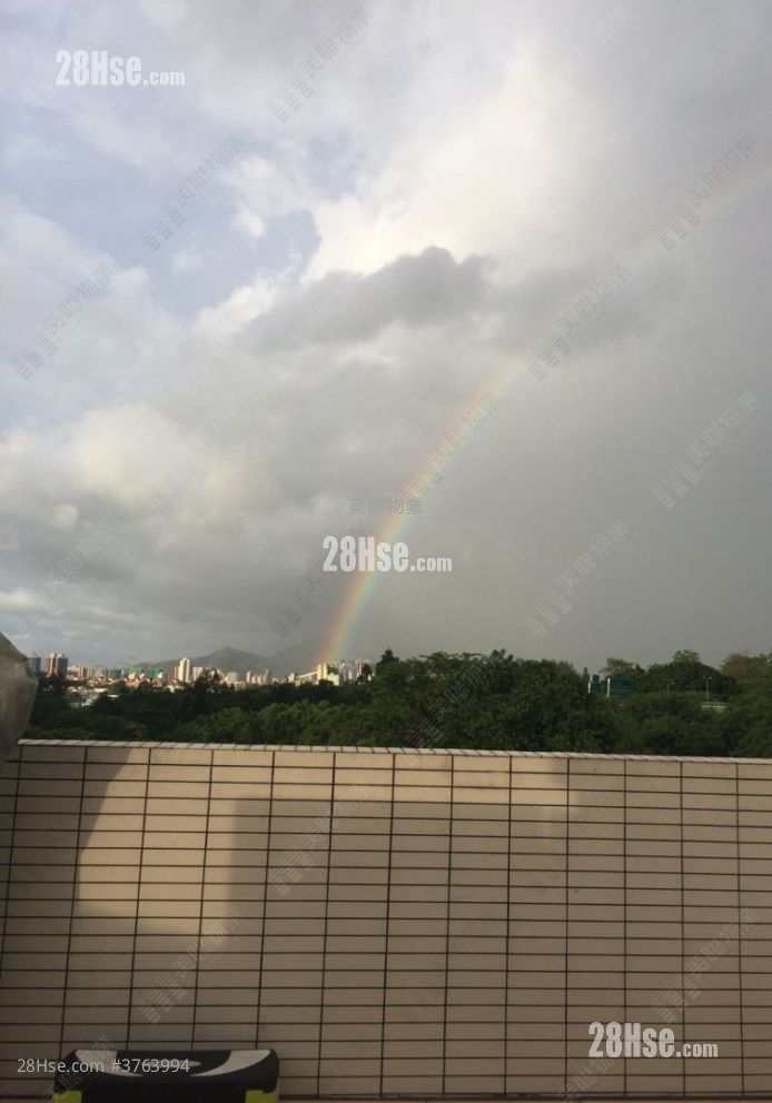 The Woodsville Sell 4 Bedrooms , 5+ Bathrooms 2,439 ft²