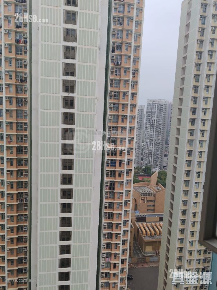 Tin Shing Court Sell 3 Bedrooms , 1 Bathroom 594 ft²