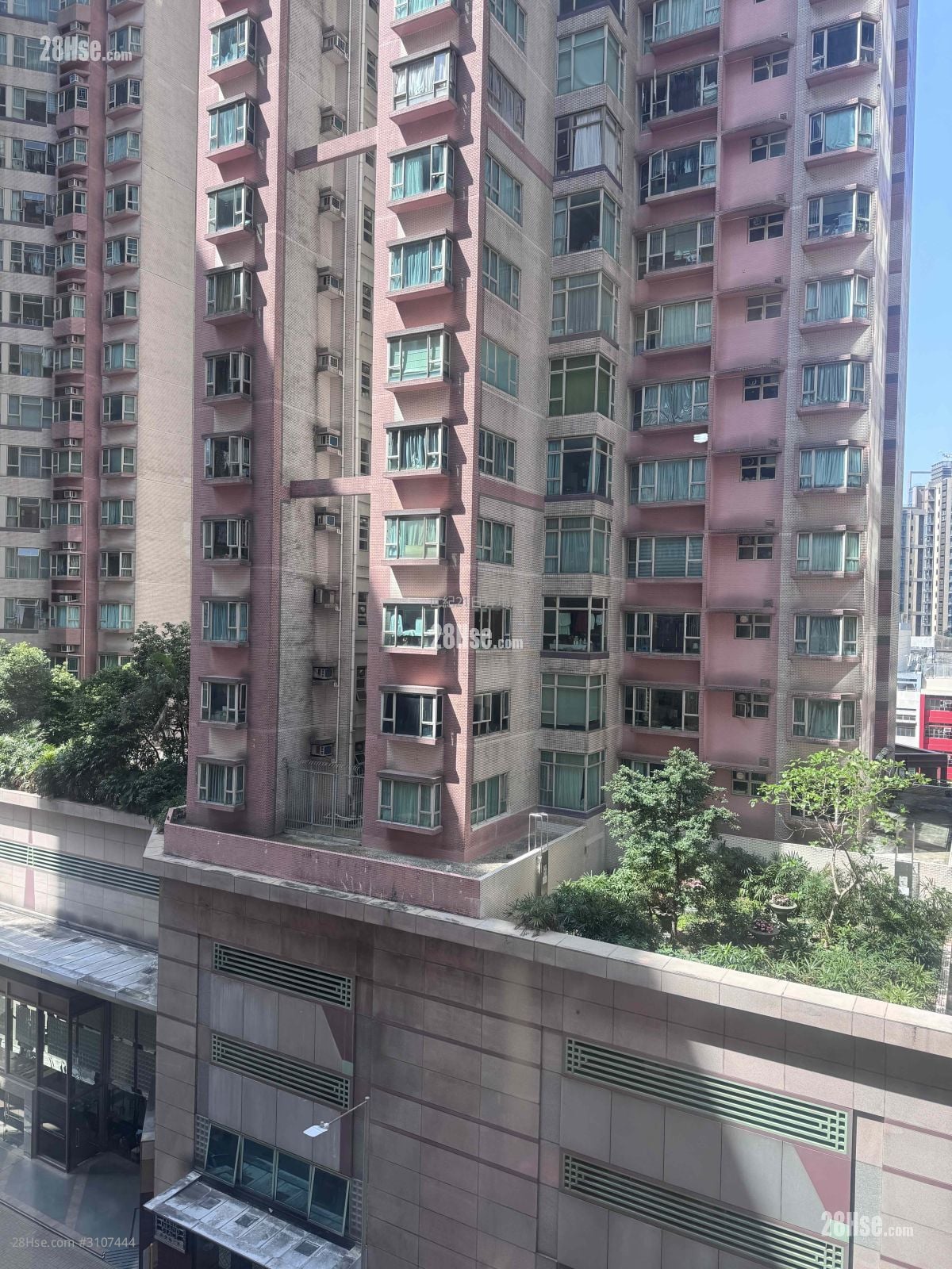 友福园 售盘 1 房 , 1 浴室 356 平方尺