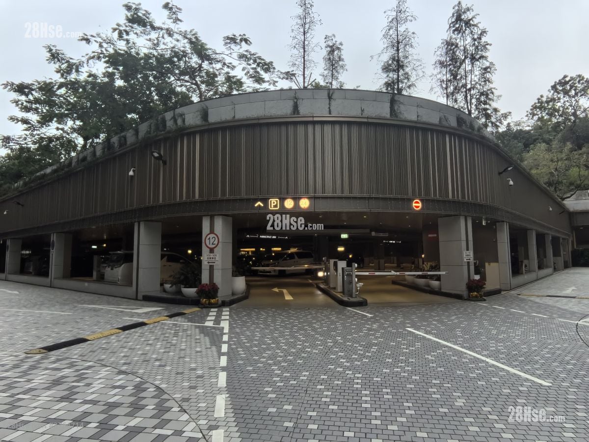 飞扬 租盘