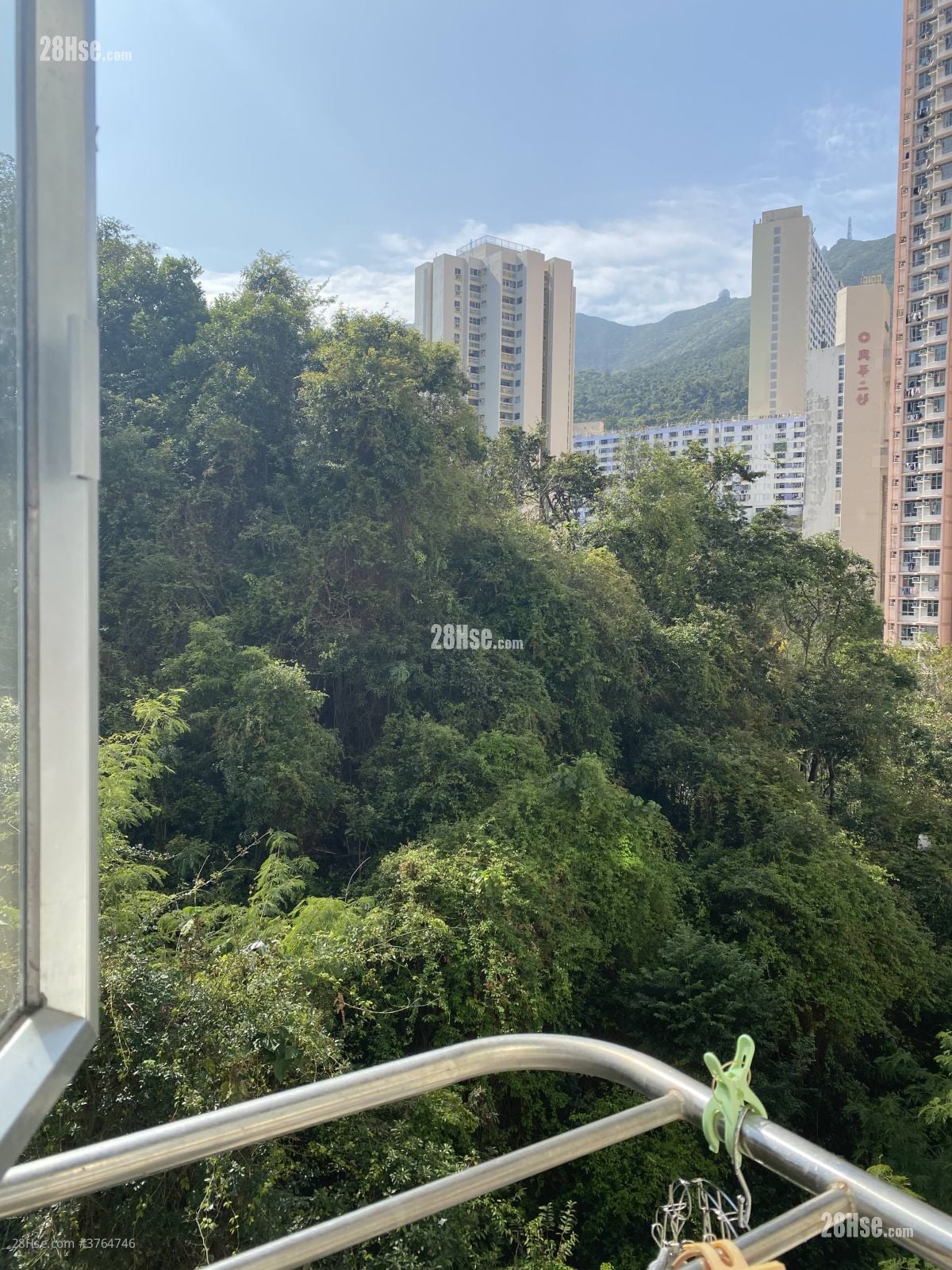 仁乐大厦 售盘 1 房 , 1 浴室 290 平方尺