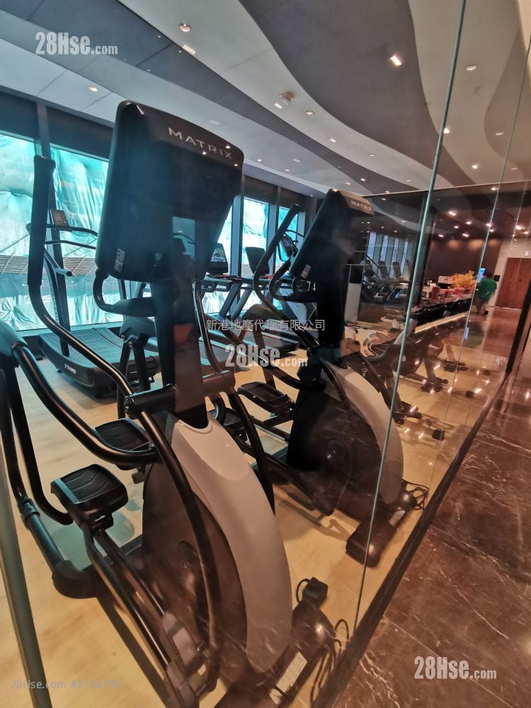 The Haddon Rental 1 Bedroom , 1 Bathroom 262 ft²