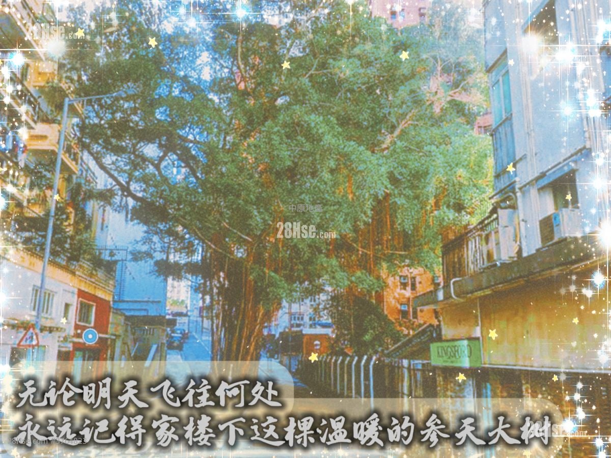 景晖阁 售盘 2 房 400 平方尺