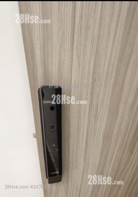 Commercial Building Rental