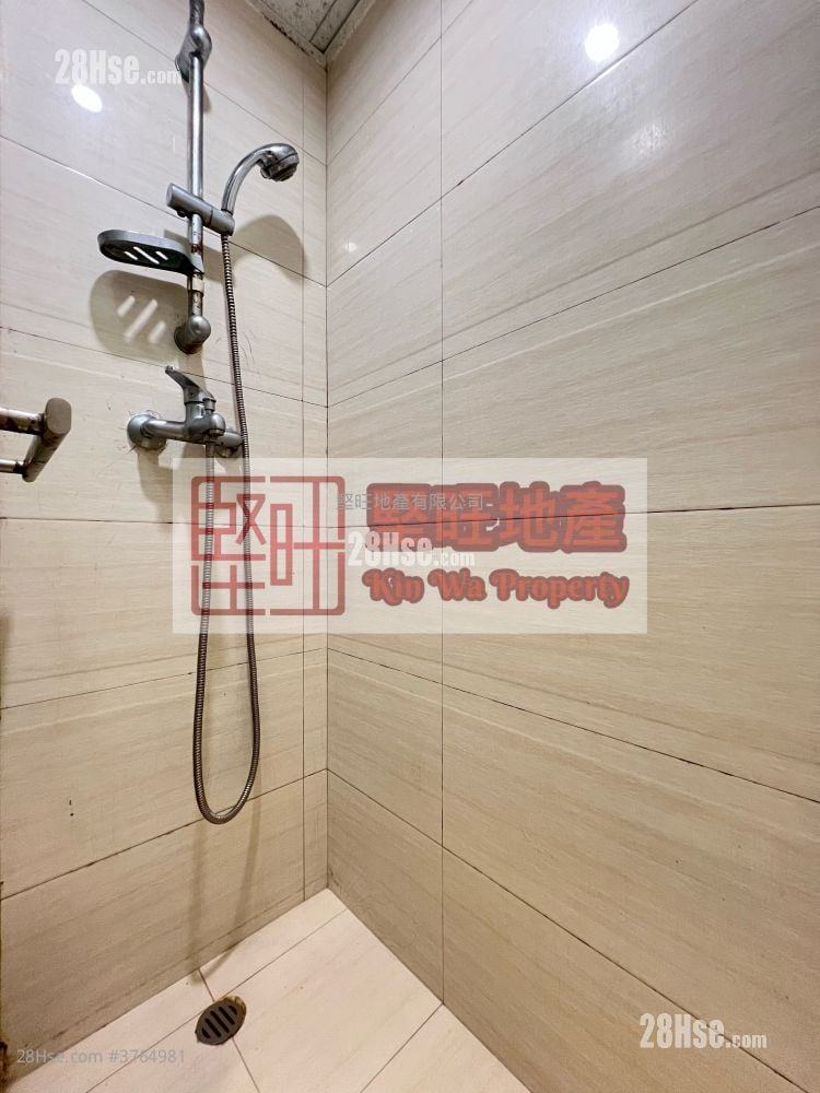 单幢楼房 租盘 开放式间隔 , 1 浴室 140 平方尺