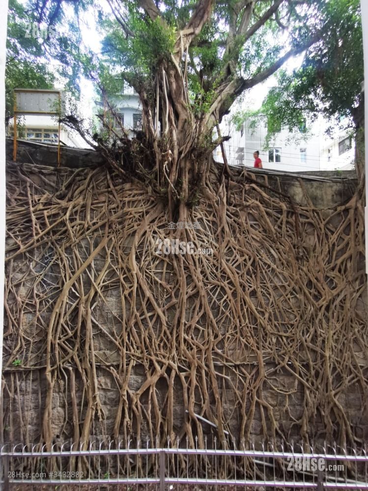 金翠楼 租盘 1 房 , 1 浴室 339 平方尺