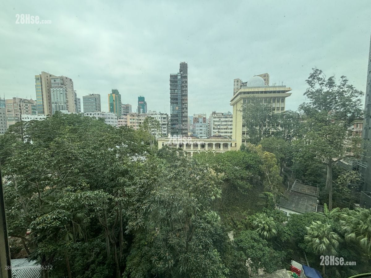 乐福大厦 售盘 447 平方尺