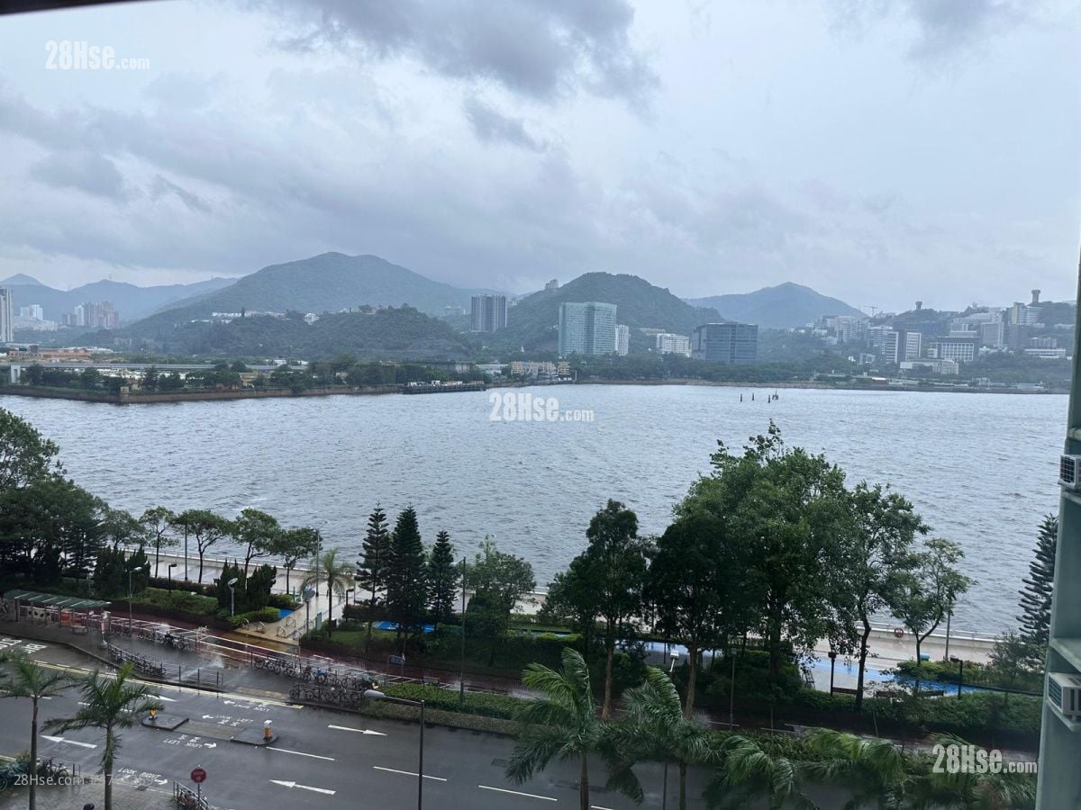 锦泰苑 售盘 3 房 , 2 浴室 650 平方尺