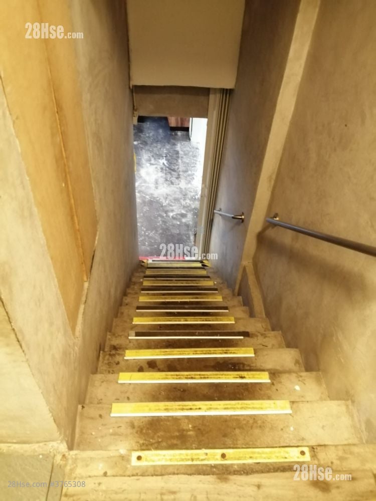 通菜街33-35A号 租盘