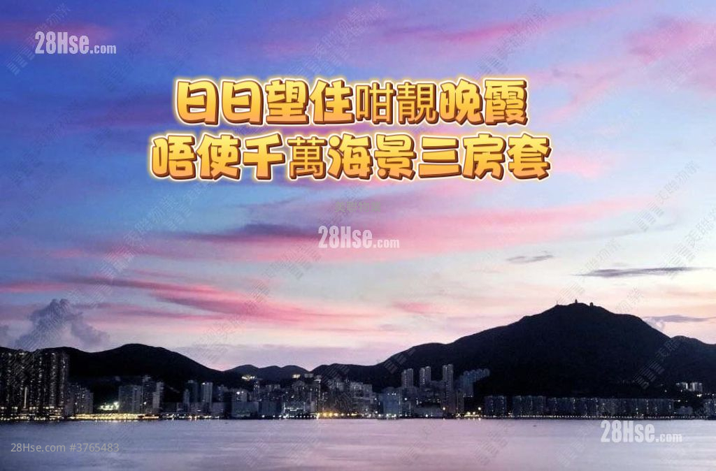 LP6 售盘 3 房 636 平方尺