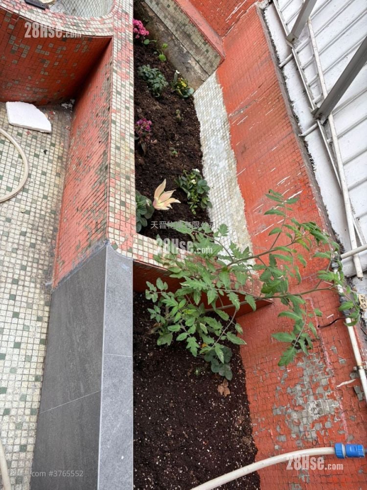 Co-Tack Building Sell 2 Bedrooms , 1 Bathroom 255 ft²