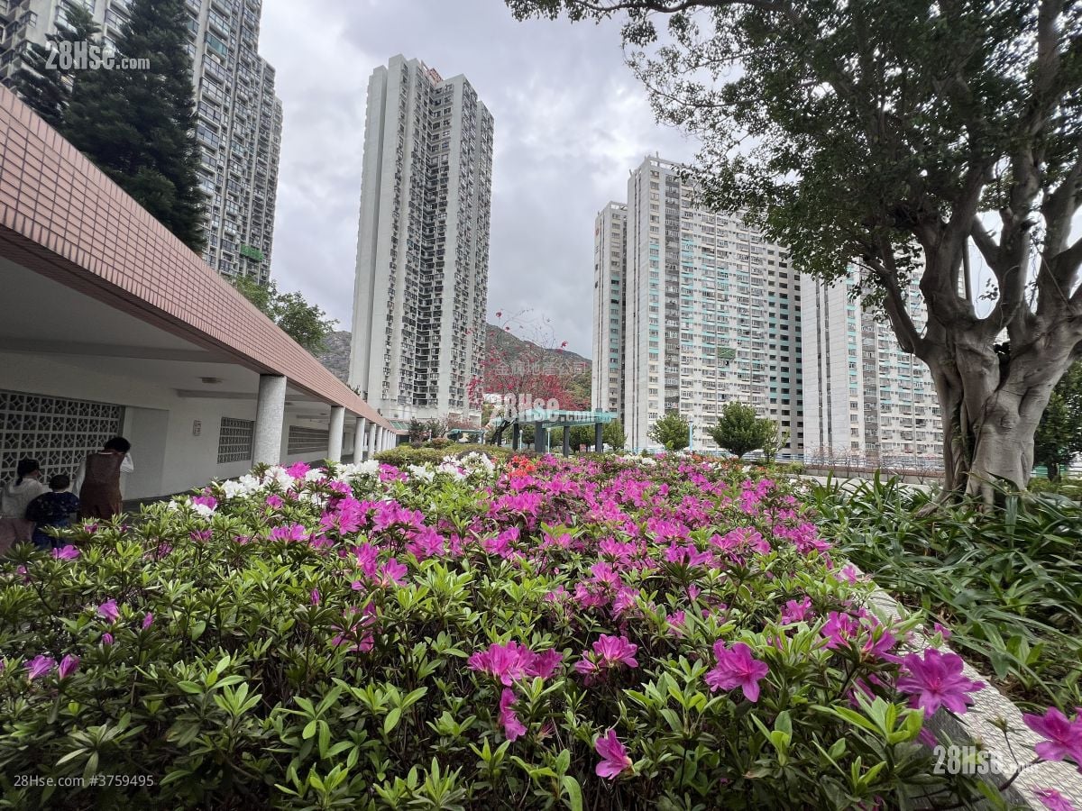 恒福花园 售盘 3 房 , 1 浴室 529 平方尺