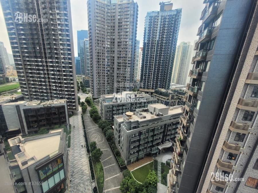 龙誉 售盘 1 房 , 1 浴室 306 平方尺