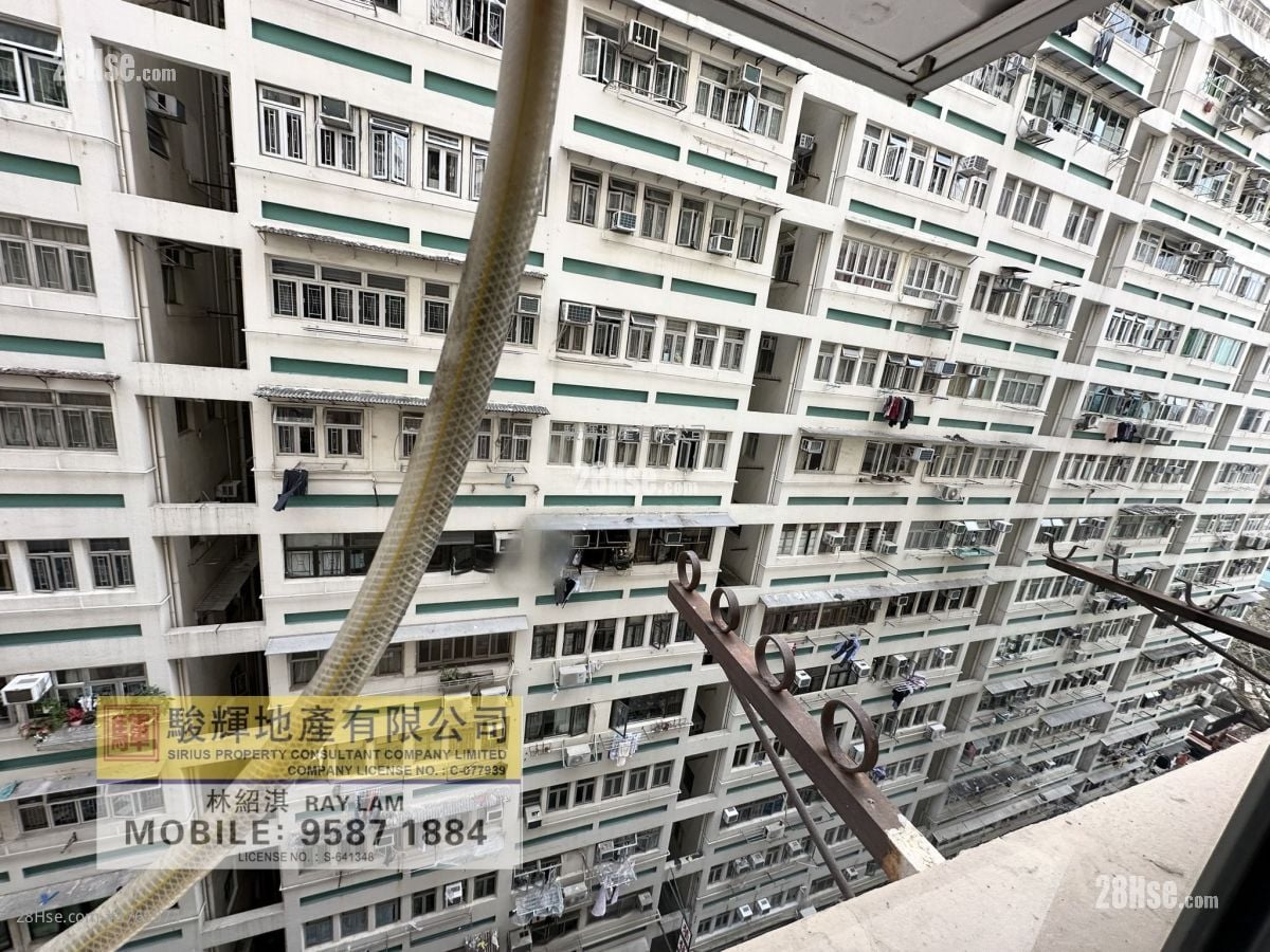 文耀楼 租盘 3 房 , 1 浴室 665 平方尺