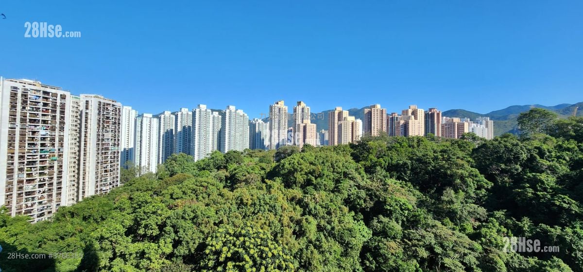 Belair Gardens Sell 3 Bedrooms , 2 Bathrooms 831 ft²