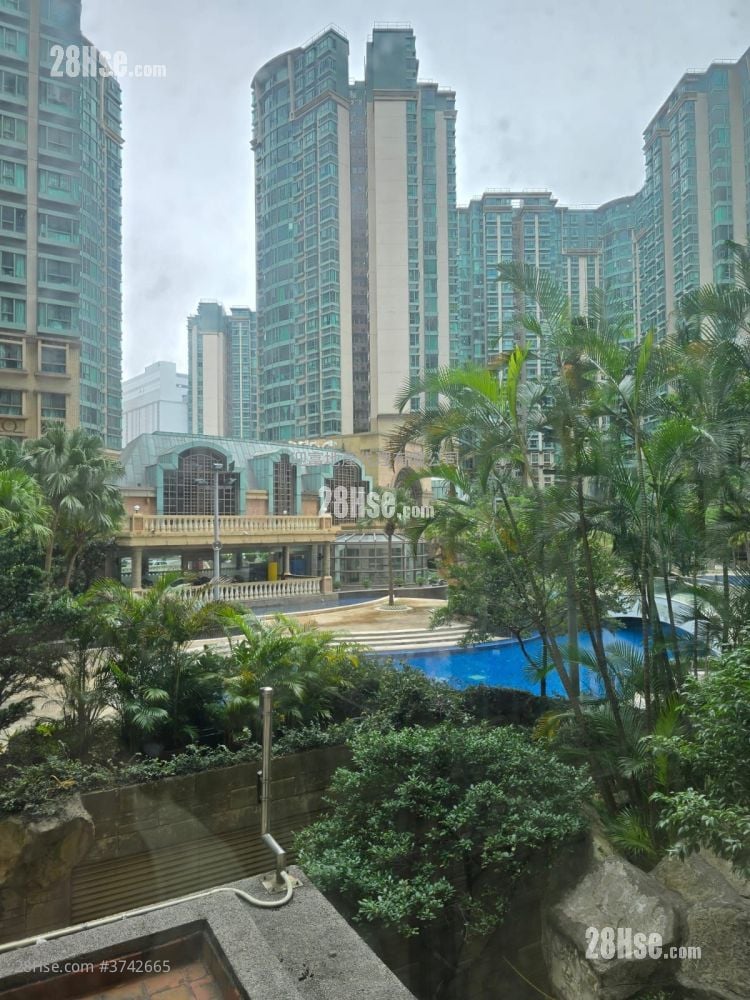 海逸豪园 租盘 2 房 , 1 浴室 555 平方尺