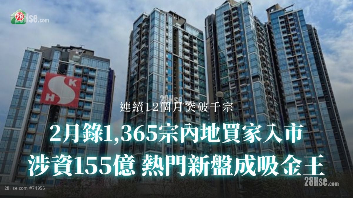 2月錄1,365宗內地買家入市 涉資155億 熱門新盤成吸金王