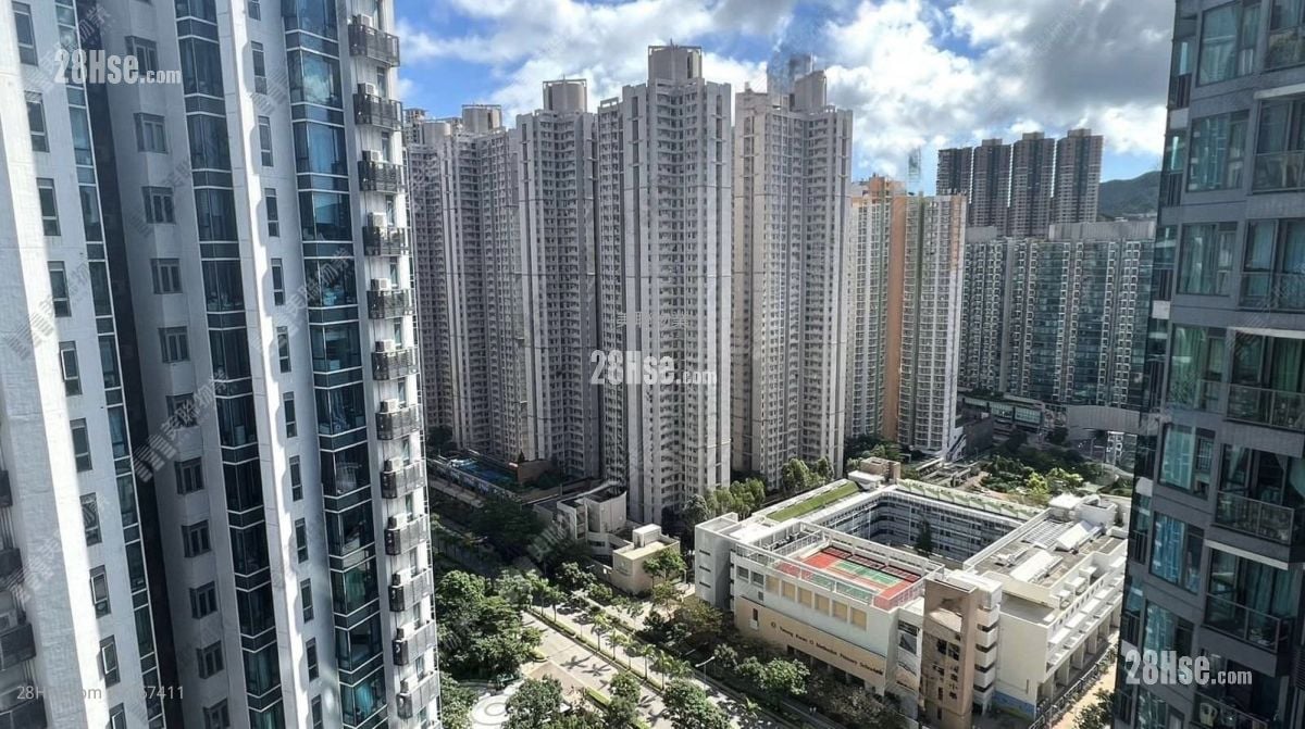 嘉悦 售盘 1 房 358 平方尺