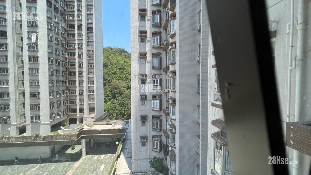 Mayfair Gardens Sell 2 Bedrooms , 1 Bathroom 329 ft²