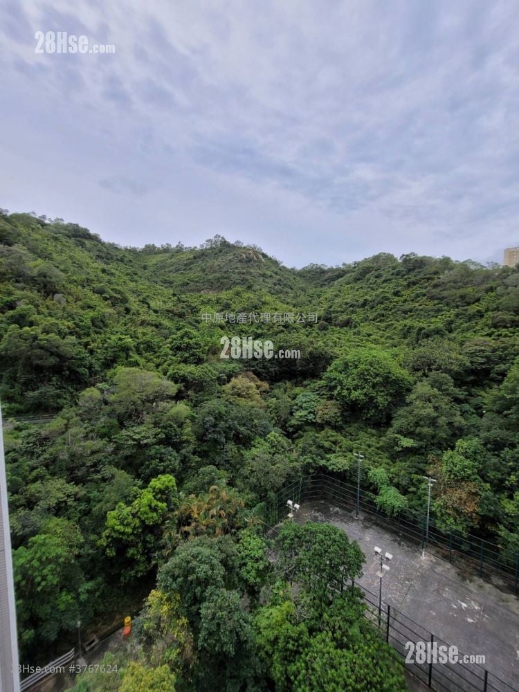 Mayfair Gardens Sell 2 Bedrooms , 1 Bathroom 420 ft²