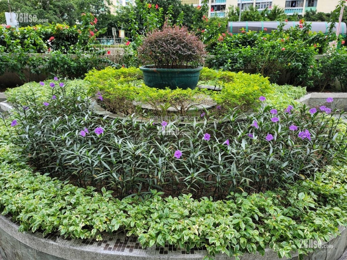 Mayfair Gardens Sell 2 Bedrooms , 1 Bathroom 420 ft²