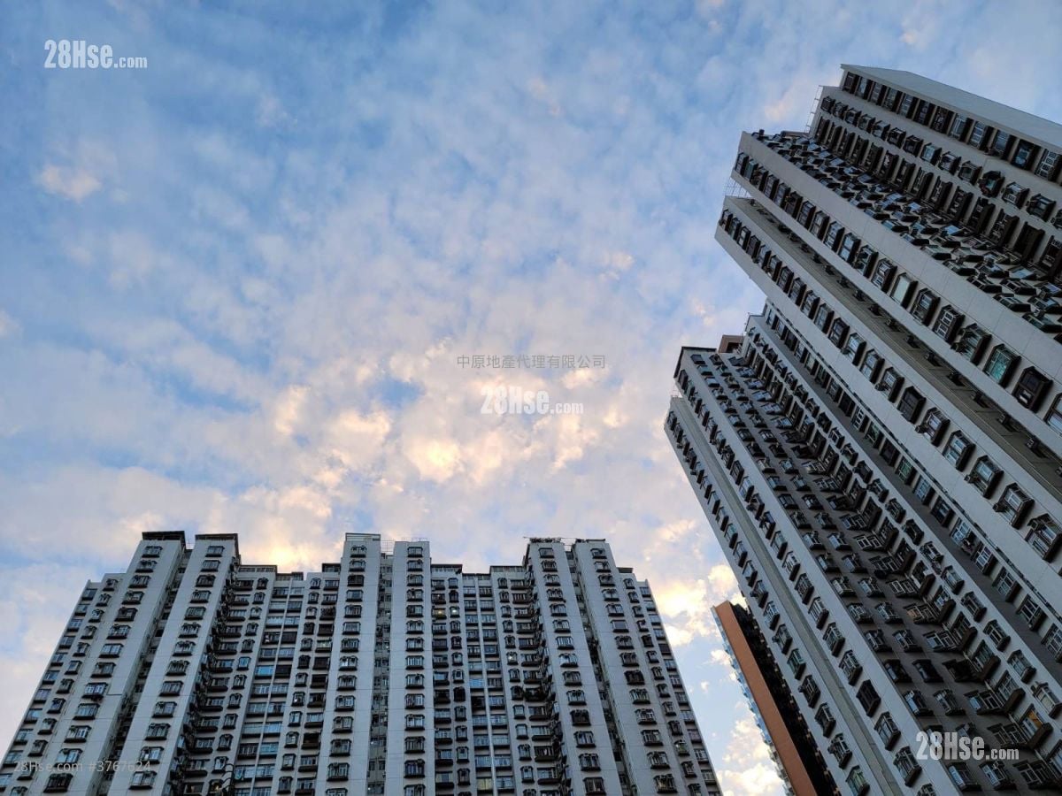 Mayfair Gardens Sell 2 Bedrooms , 1 Bathroom 420 ft²