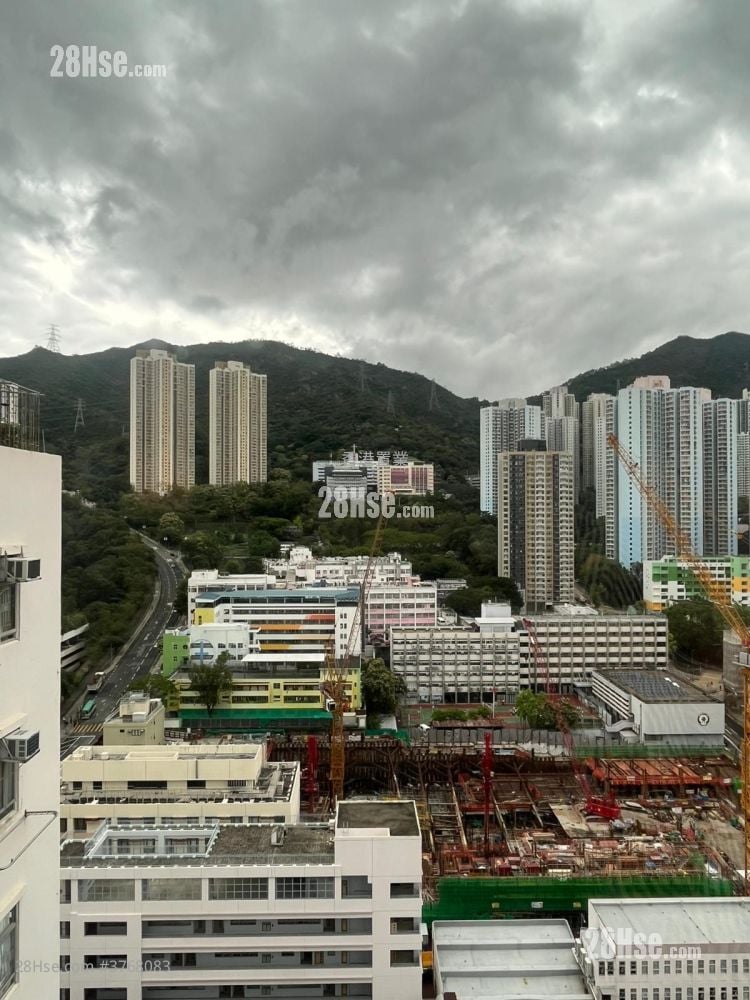 荟鸣 售盘 1 房 242 平方尺